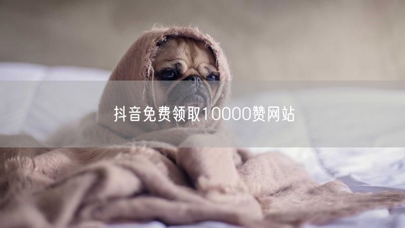 抖音免费领取10000赞网站