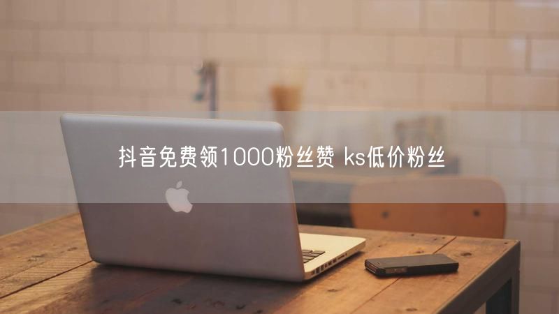 抖音免费领1000粉丝赞 ks低价粉丝