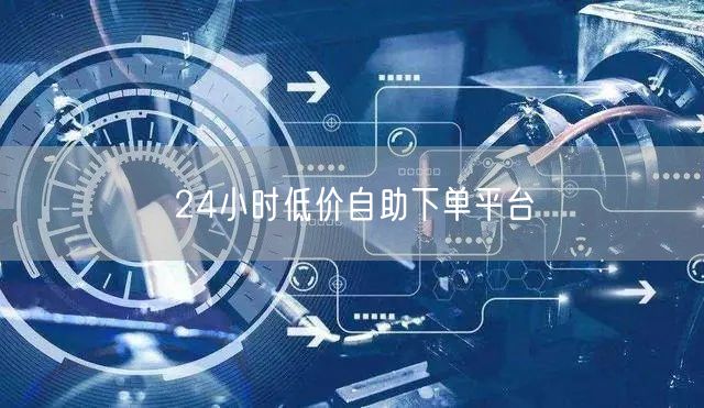 24小时低价自助下单平台