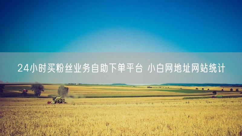24小时买粉丝业务自助下单平台 小白网地址网站统计