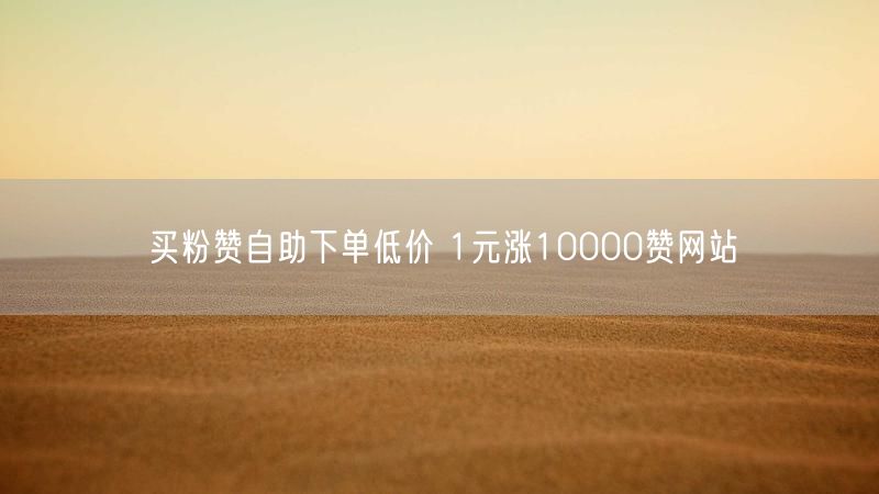 买粉赞自助下单低价 1元涨10000赞网站