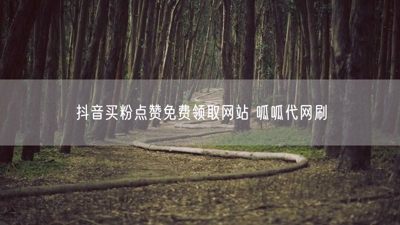 抖音买粉点赞免费领取网站 呱呱代网刷