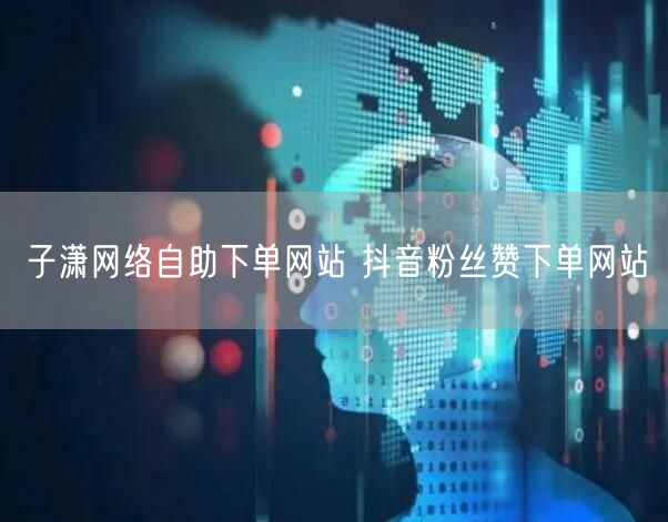 子潇网络自助下单网站 抖音粉丝赞下单网站