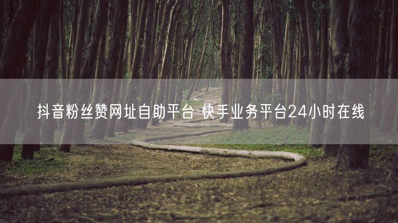 抖音粉丝赞网址自助平台 快手业务平台24小时在线