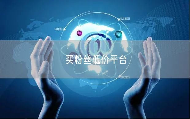 买粉丝低价平台