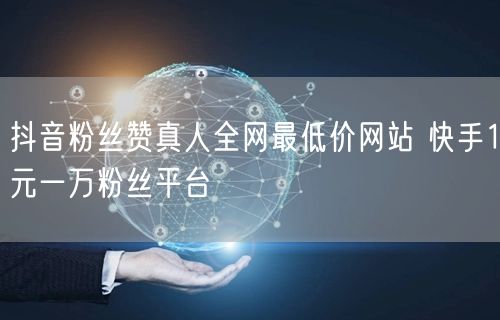 抖音粉丝赞真人全网最低价网站 快手1元一万粉丝平台