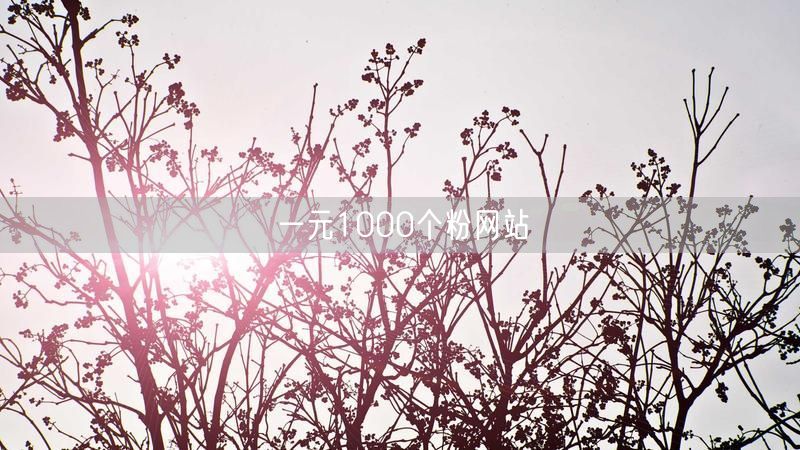 一元1000个粉网站