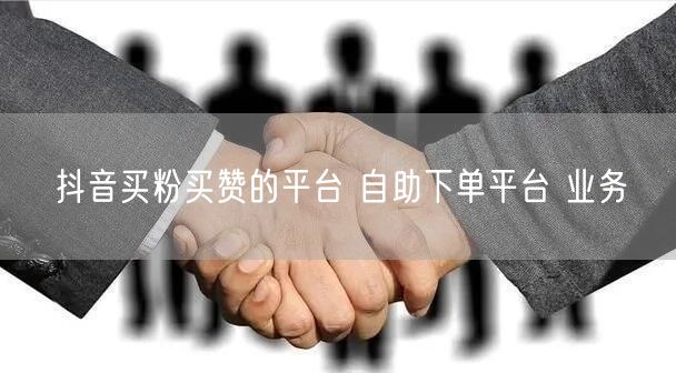 抖音买粉买赞的平台 自助下单平台 业务