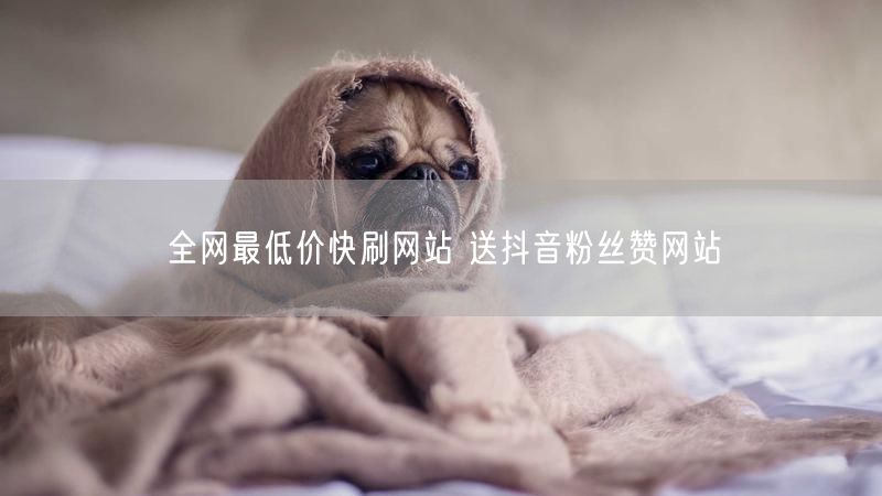 全网最低价快刷网站 送抖音粉丝赞网站