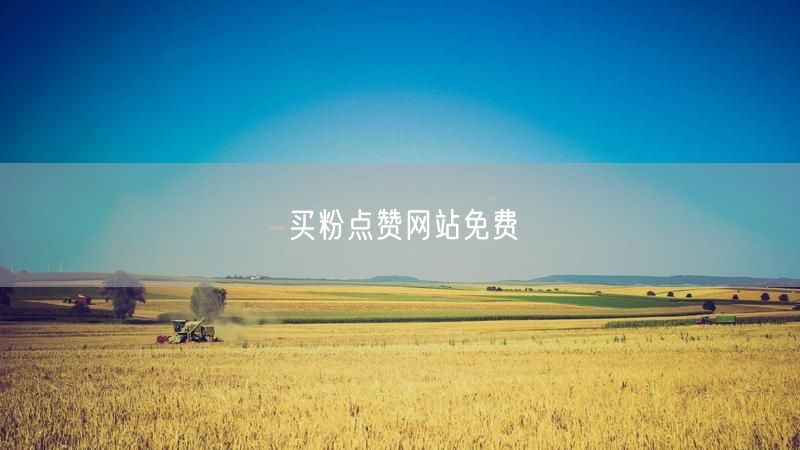买粉点赞网站免费