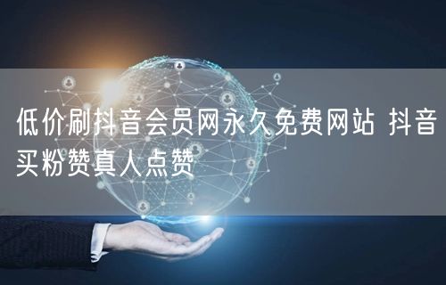 低价刷抖音会员网永久免费网站 抖音买粉赞真人点赞
