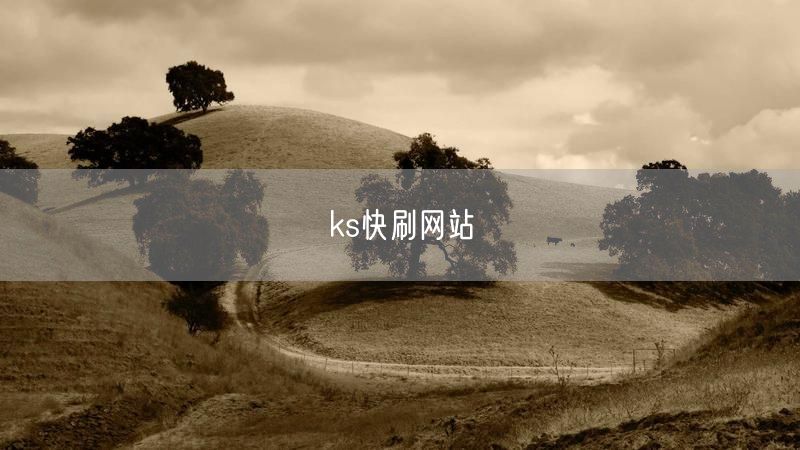 ks快刷网站