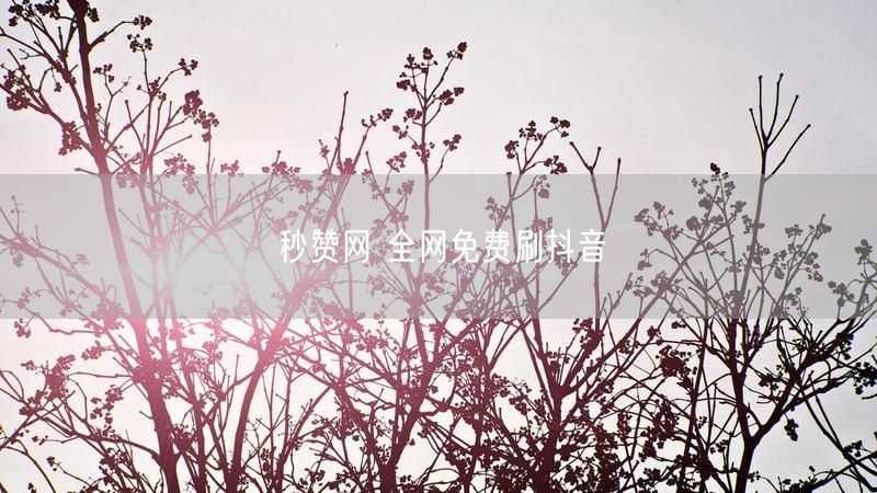 秒赞网 全网免费刷抖音