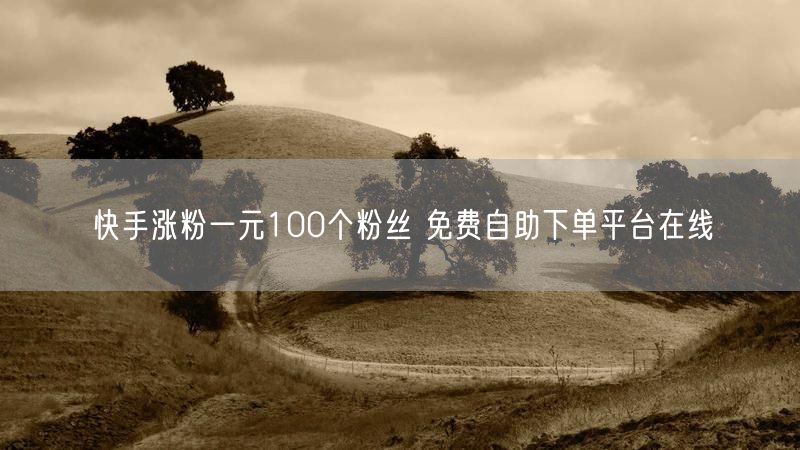 快手涨粉一元100个粉丝 免费自助下单平台在线