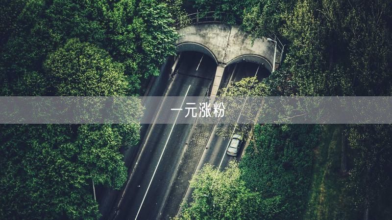 一元涨粉