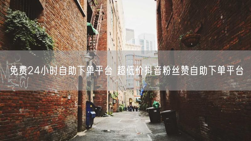 免费24小时自助下单平台 超低价抖音粉丝赞自助下单平台