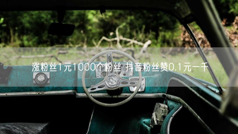 涨粉丝1元1000个粉丝 抖音粉丝赞0.1元一千