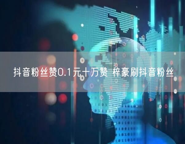 抖音粉丝赞0.1元十万赞 梓豪刷抖音粉丝