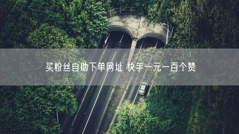 买粉丝自助下单网址 快手一元一百个赞