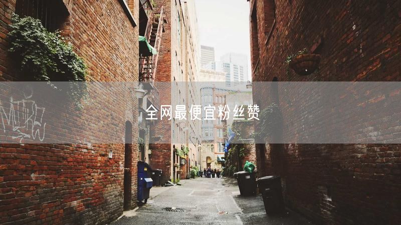 全网最便宜粉丝赞