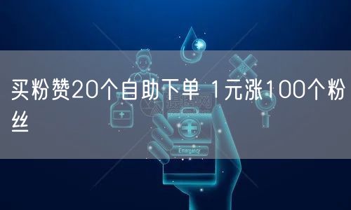 买粉赞20个自助下单 1元涨100个粉丝