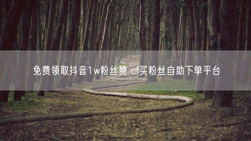 免费领取抖音1w粉丝赞 cf买粉丝自助下单平台