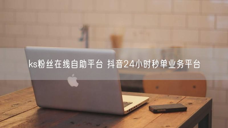 ks粉丝在线自助平台 抖音24小时秒单业务平台