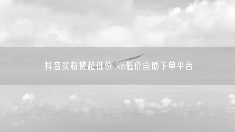 抖音买粉赞超低价 ks低价自助下单平台