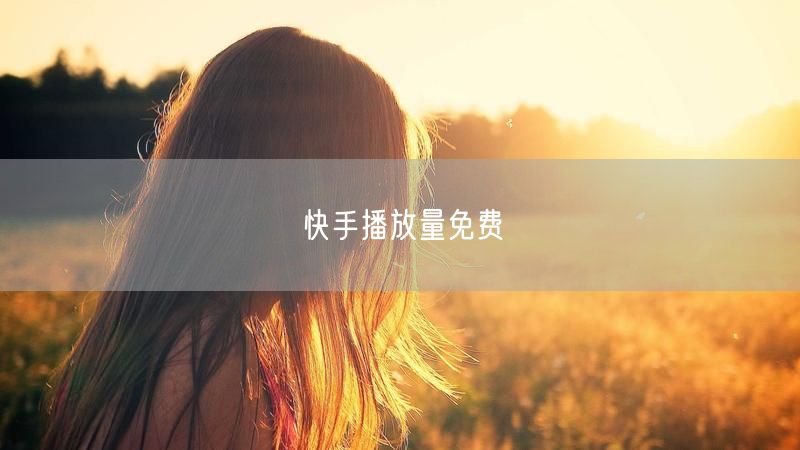 快手播放量免费