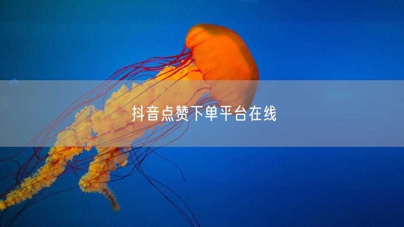抖音点赞下单平台在线