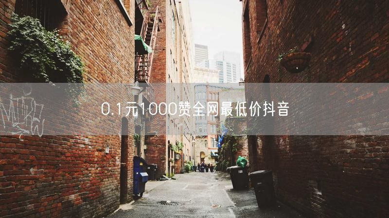 0.1元1000赞全网最低价抖音