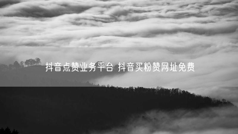 抖音点赞业务平台 抖音买粉赞网址免费