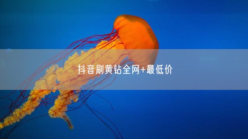 抖音刷黄钻全网+最低价