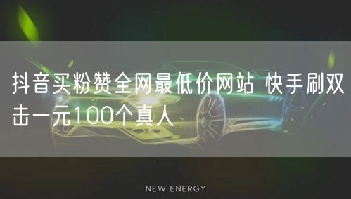 抖音买粉赞全网最低价网站 快手刷双击一元100个真人