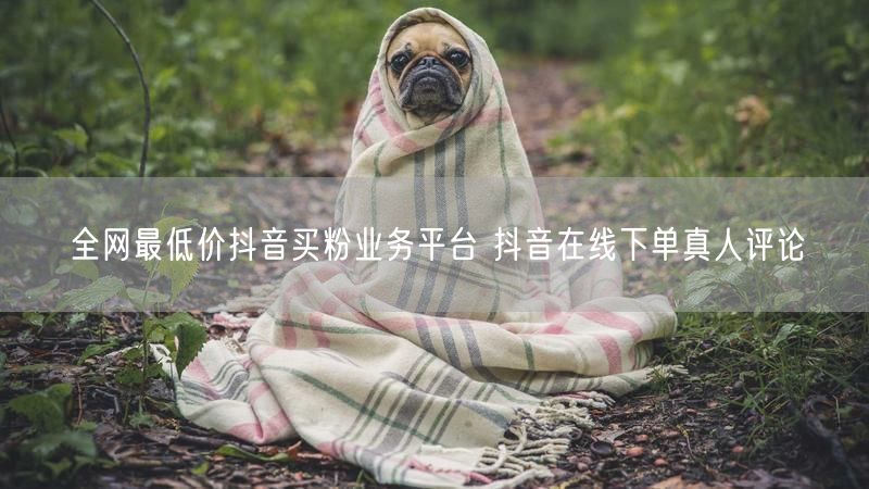 全网最低价抖音买粉业务平台 抖音在线下单真人评论