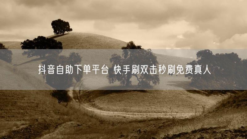抖音自助下单平台 快手刷双击秒刷免费真人