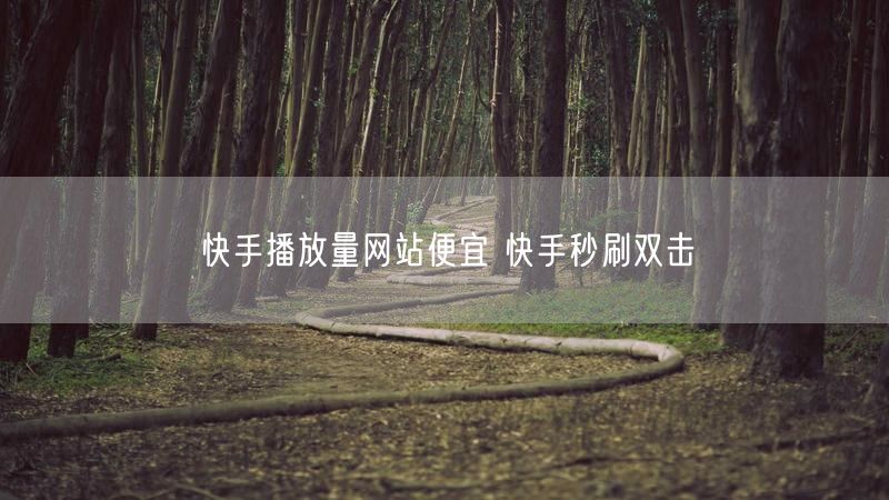 快手播放量网站便宜 快手秒刷双击