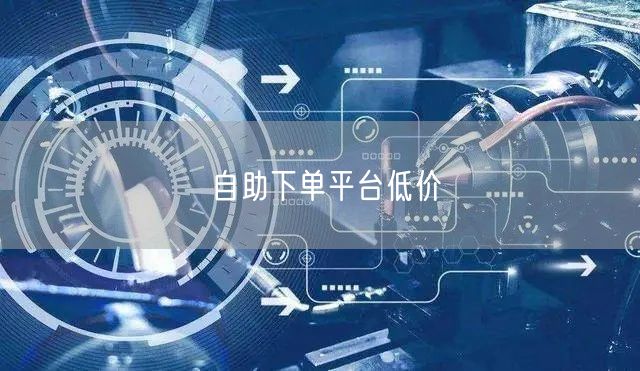 自助下单平台低价