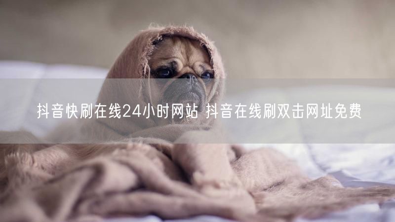抖音快刷在线24小时网站 抖音在线刷双击网址免费