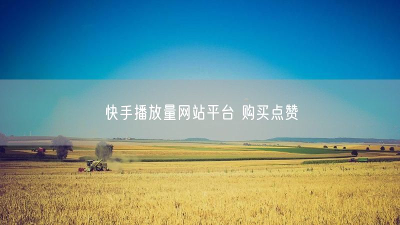 快手播放量网站平台 购买点赞