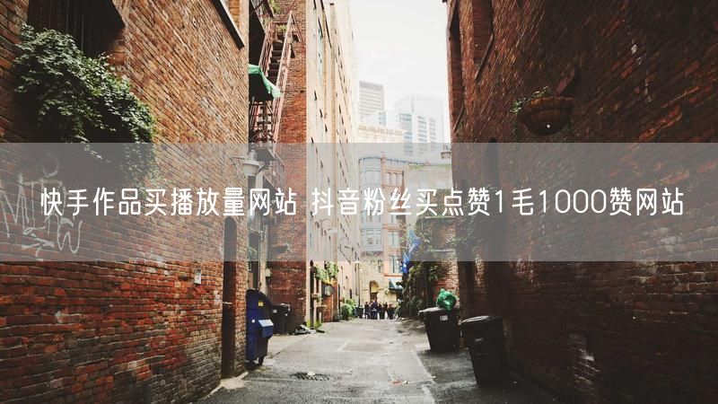 快手作品买播放量网站 抖音粉丝买点赞1毛1000赞网站