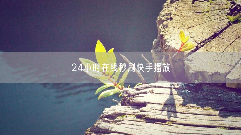 24小时在线秒刷快手播放