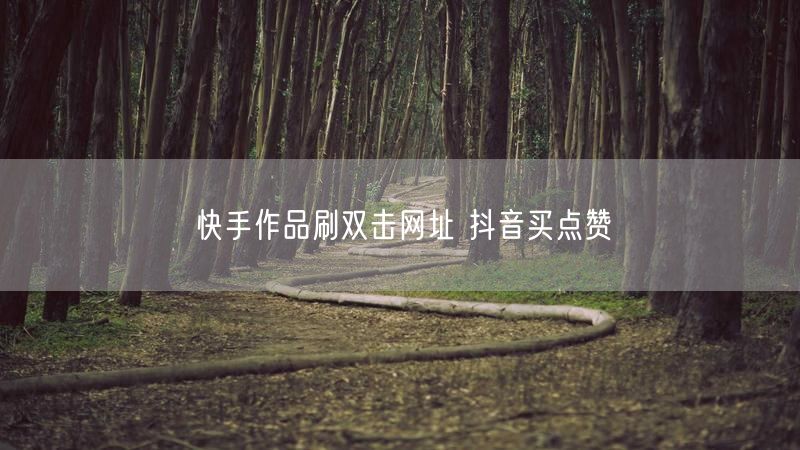 快手作品刷双击网址 抖音买点赞