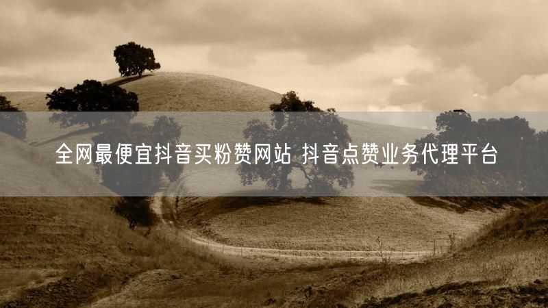 全网最便宜抖音买粉赞网站 抖音点赞业务代理平台