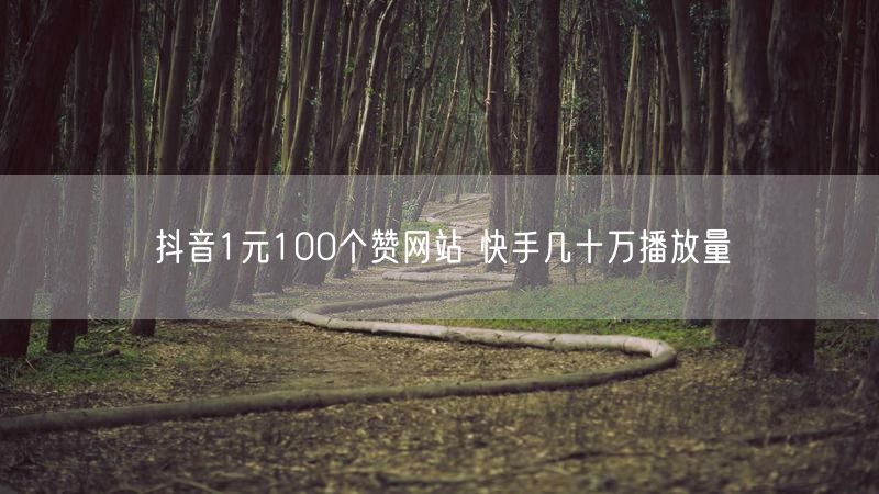 抖音1元100个赞网站 快手几十万播放量