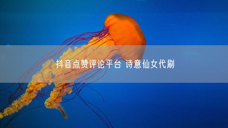 抖音点赞评论平台 诗意仙女代刷