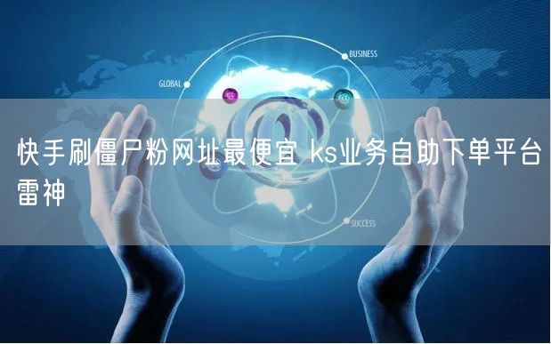 快手刷僵尸粉网址最便宜 ks业务自助下单平台雷神