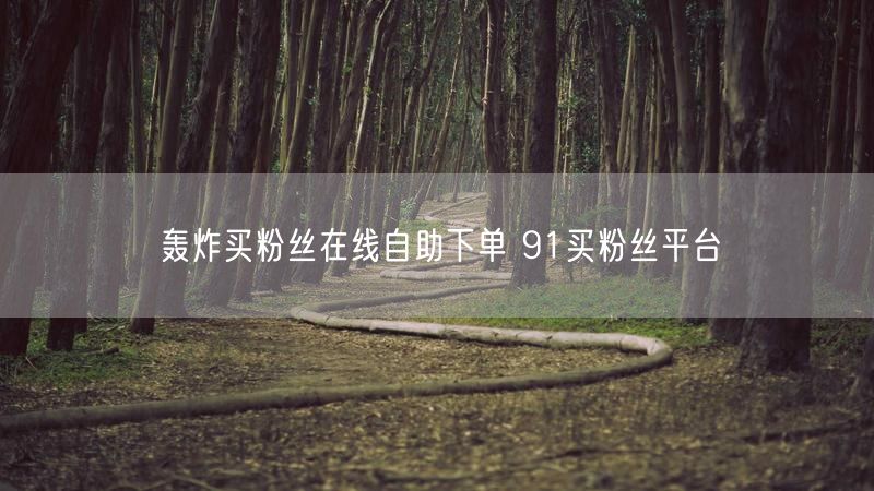 轰炸买粉丝在线自助下单 91买粉丝平台