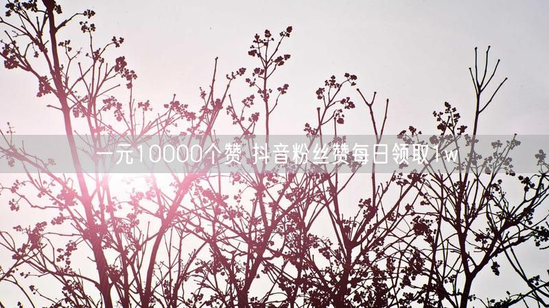 一元10000个赞 抖音粉丝赞每日领取1w