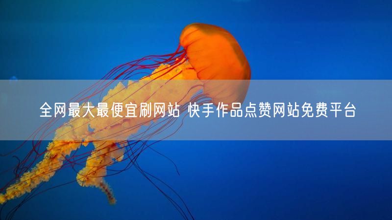全网最大最便宜刷网站 快手作品点赞网站免费平台